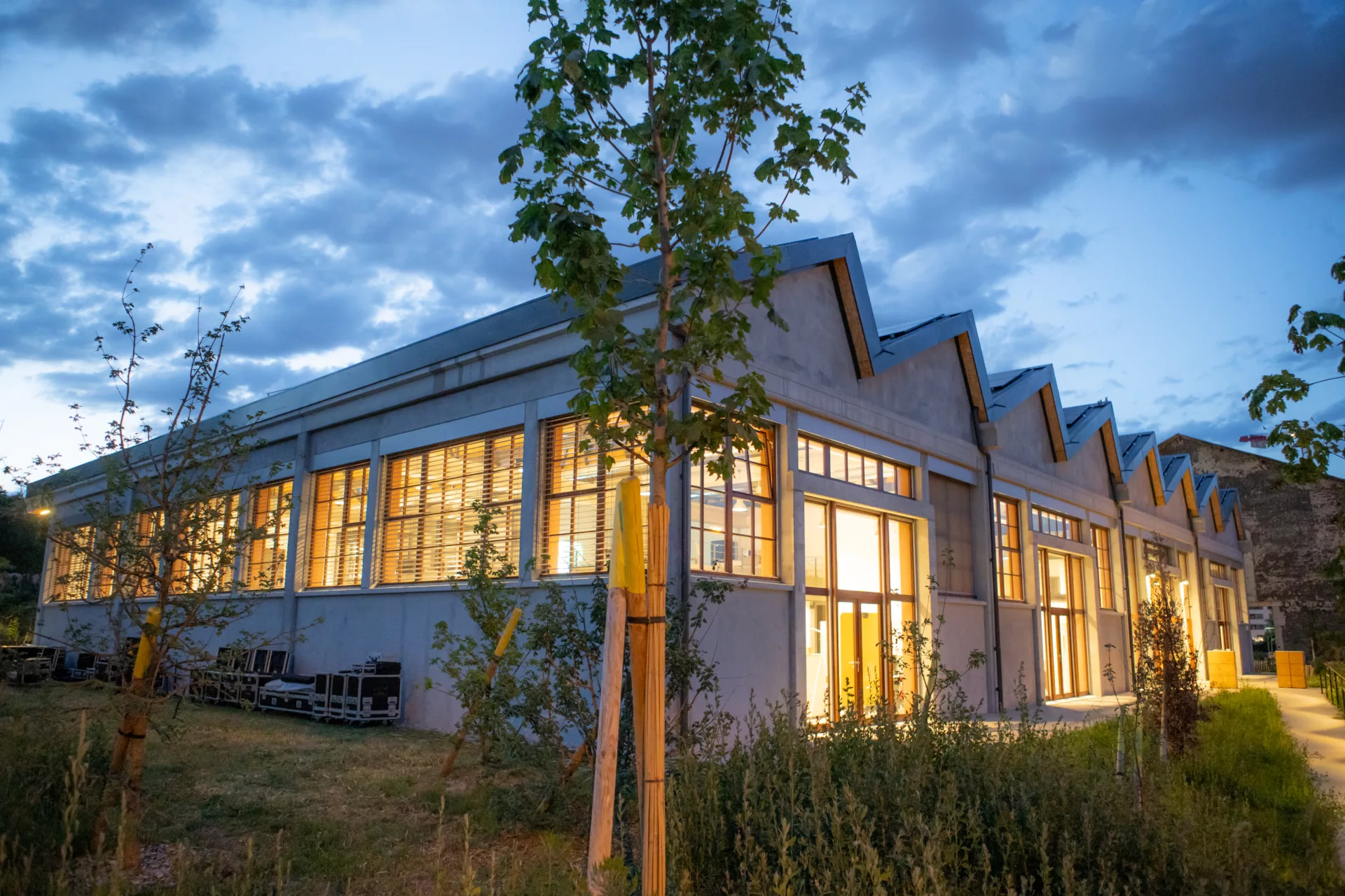 Plongez dans la magie du Marché de Noël de Zadiga-Cité